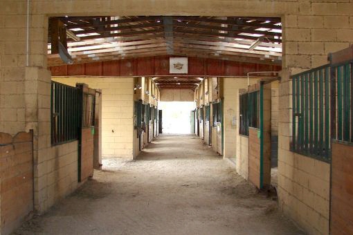 Stall barn