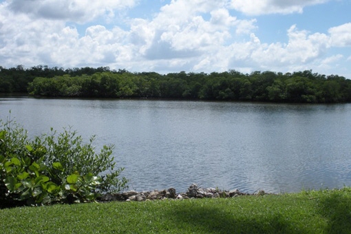Beautiful nature in the surrounding area