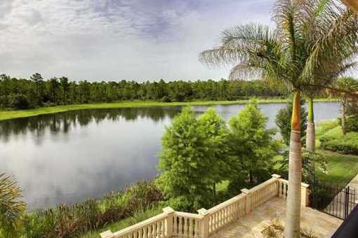View to the lake
