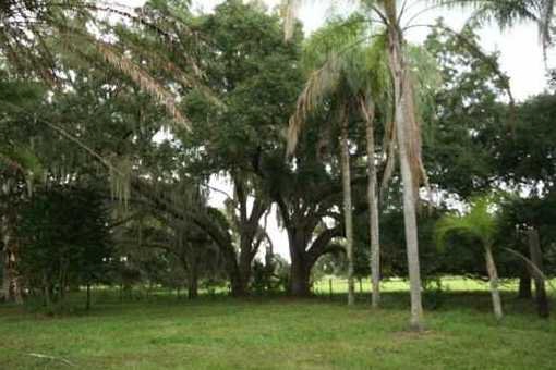 Beautiful plot in Bradenton