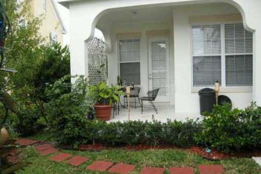 Terrace and garden