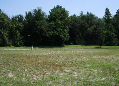 Large lot